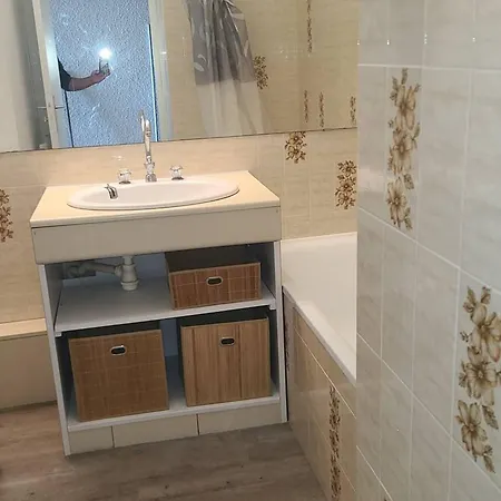 Apartment Avec Terrasse Et Parking A - Fr-1-559-43 *